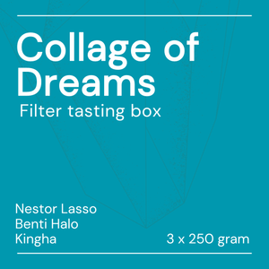 Collage of Dreams – Filter Tasting Box