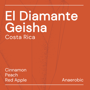 El Diamante Geisha