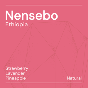 Nensebo