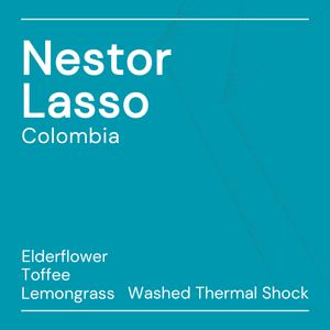 Nestor Lasso