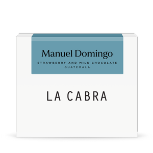 Manuel Domingo